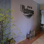 酒店 佩特鲁斯酒店 3*