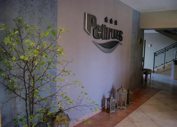 Hotel Petrus 3*