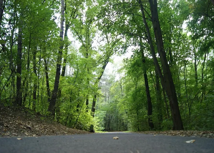 佩特鲁斯酒店 酒店 3*